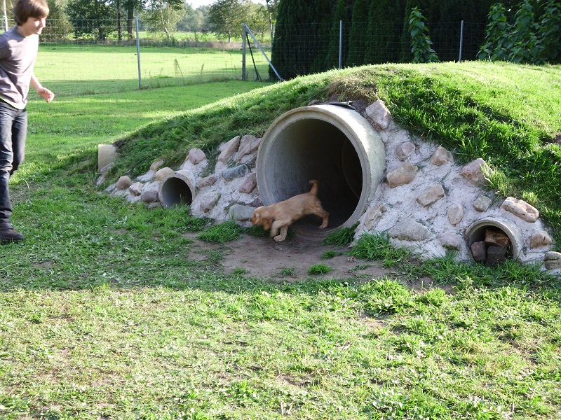 Tunnelrennen 2