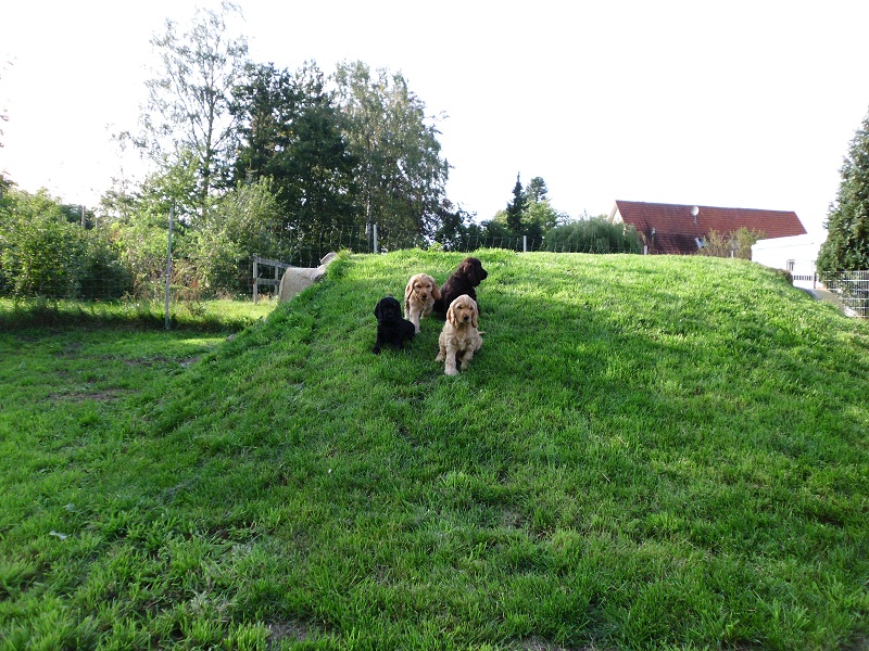 Wie Winnetou